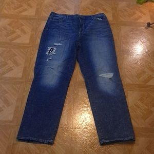 Gloria Vanderbilt Amanda Denim Jeans